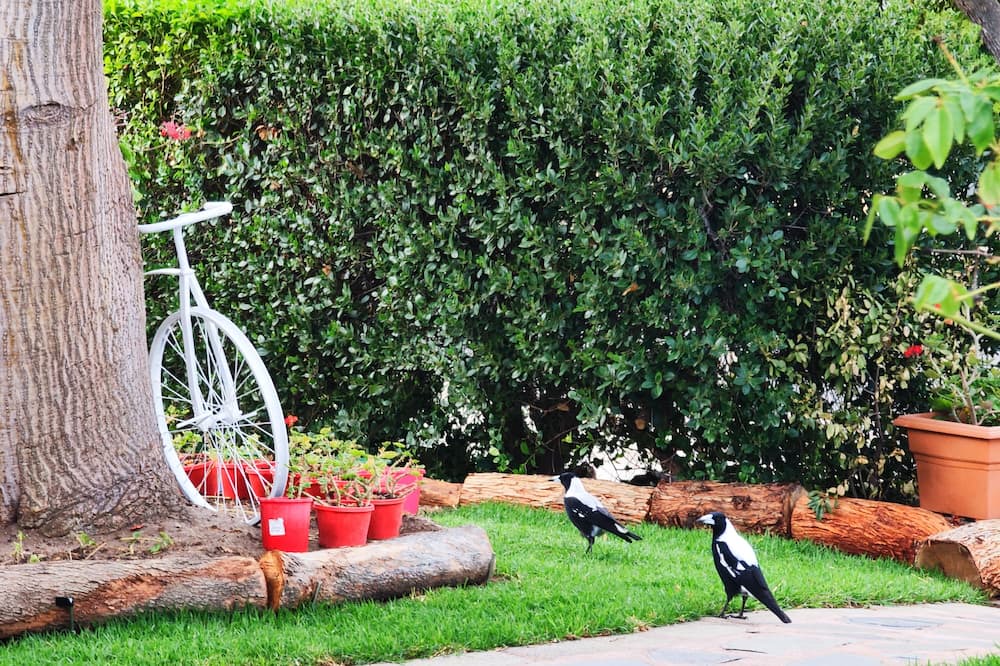 Photo of Outdoor in Largs North