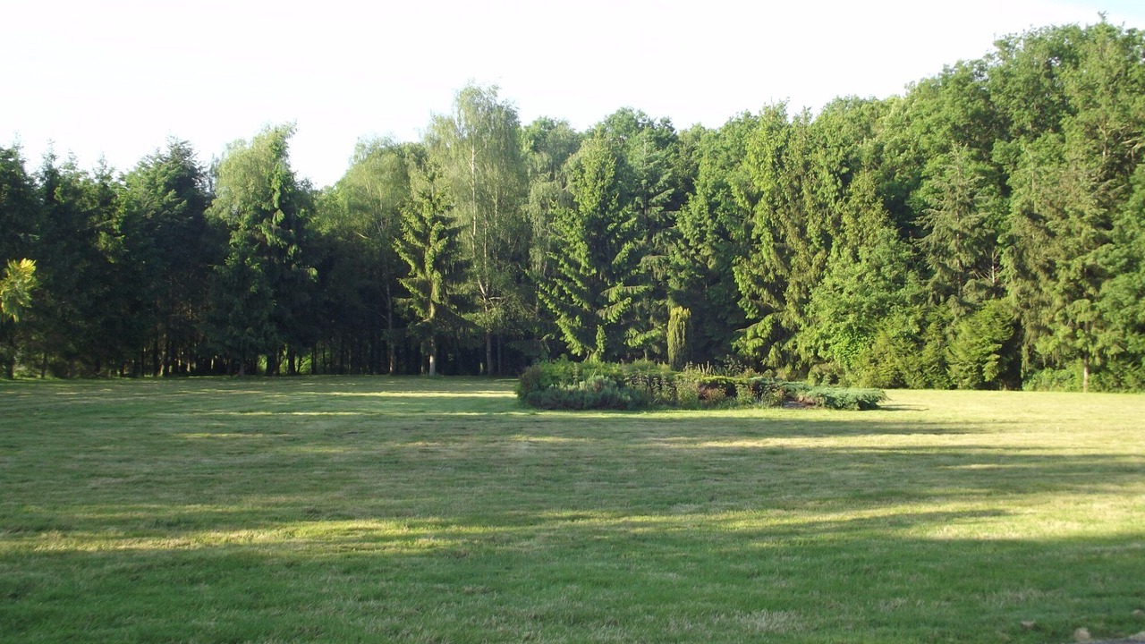 Photo of Others in Conflans-sur-Anille