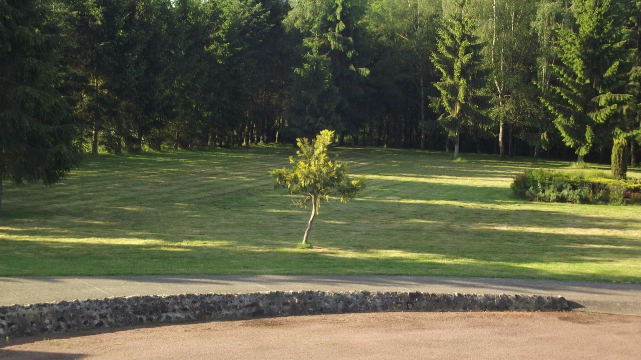 Photo of Others in Conflans-sur-Anille