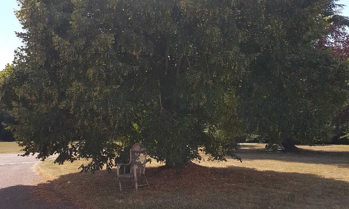 Photo of Outdoor in Conflans-sur-Anille