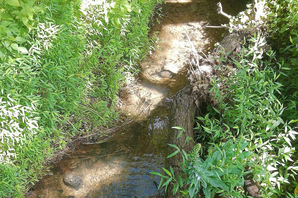 Photo of Outdoor in Gladstone