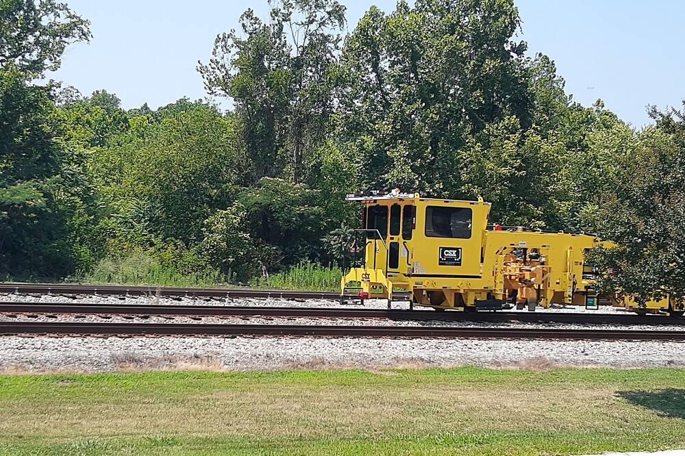 Photo of Others in Gladstone