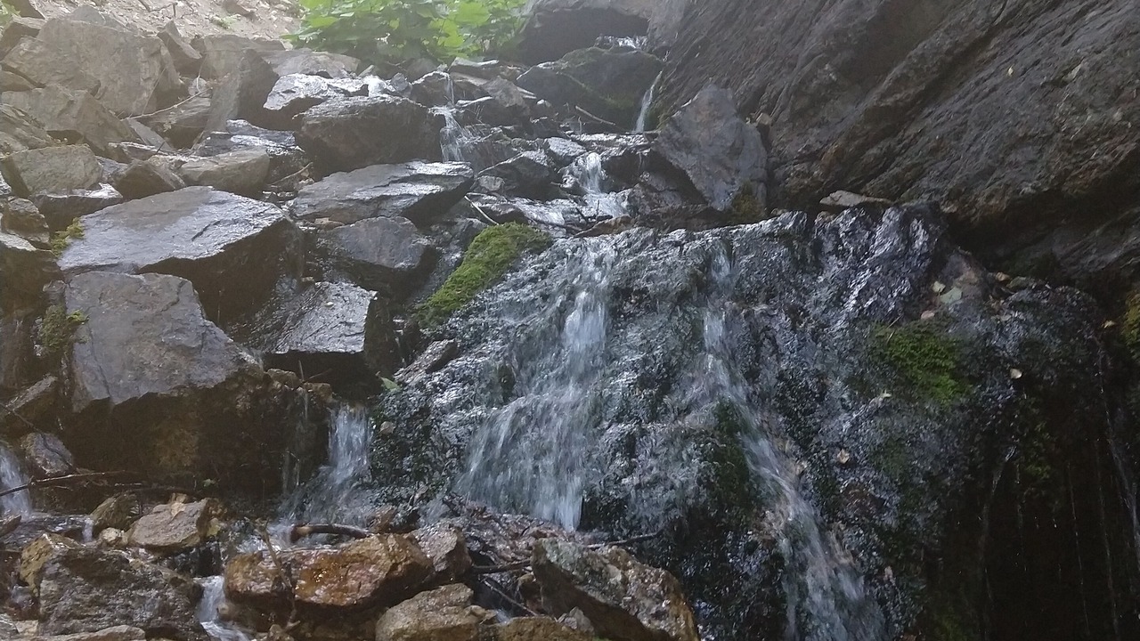 Photo of Outdoor in Ogden