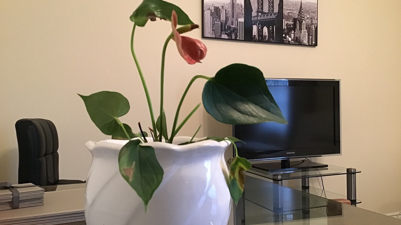 Photo of Bathroom in Ashford