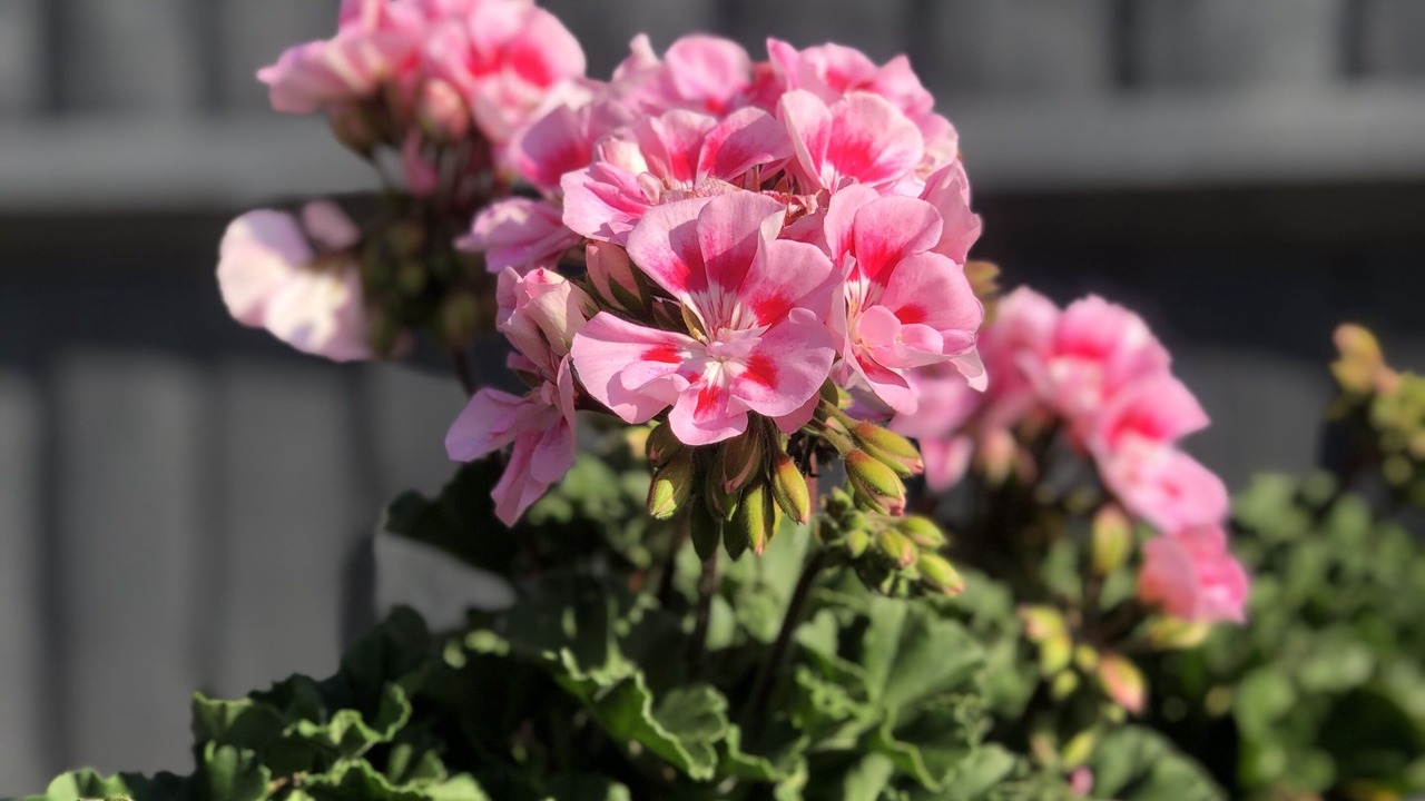 Photo of Bathroom in Finchingfield