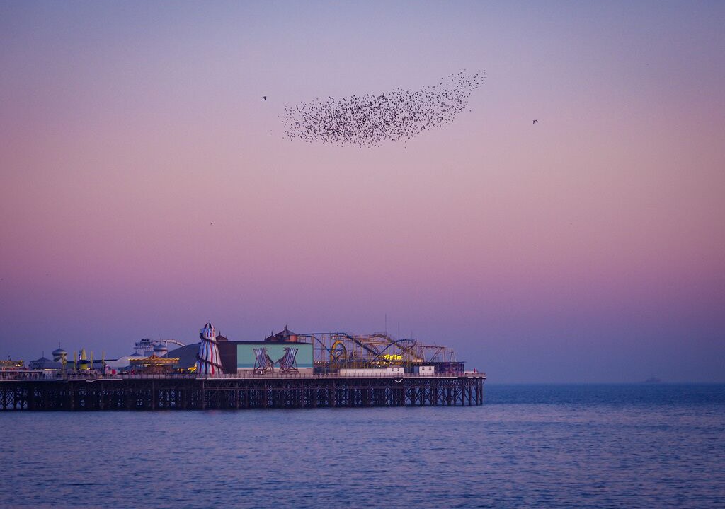 Photo of Others in Uckfield