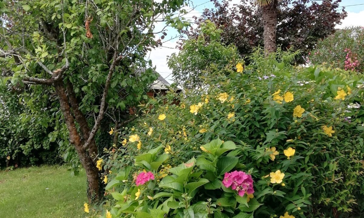 Photo of Outdoor in Bono