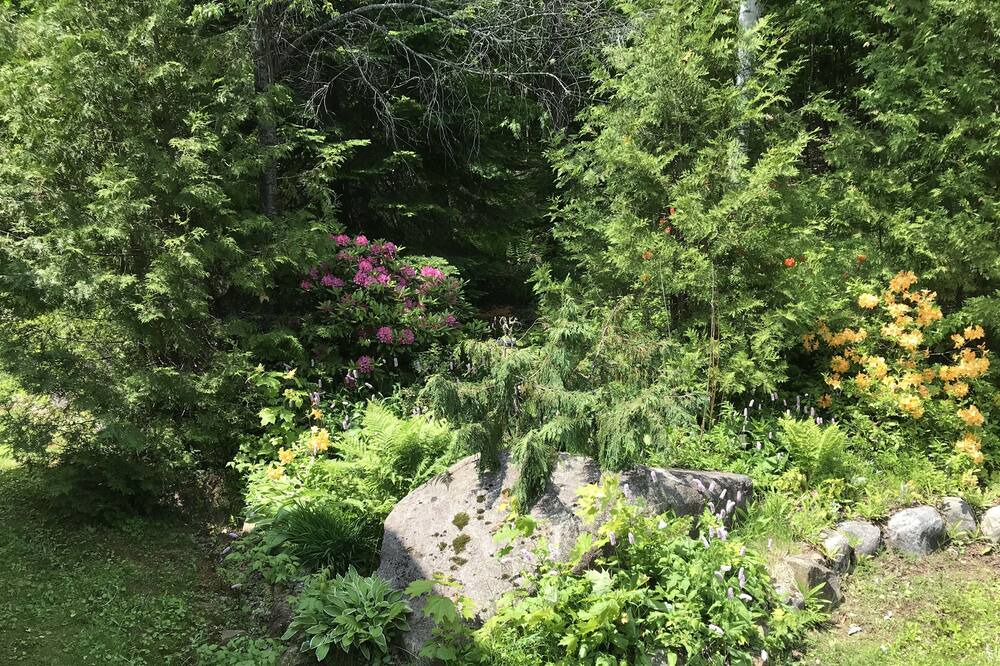 Photo of Outdoor in Sainte-Marguerite-du-Lac-Masson