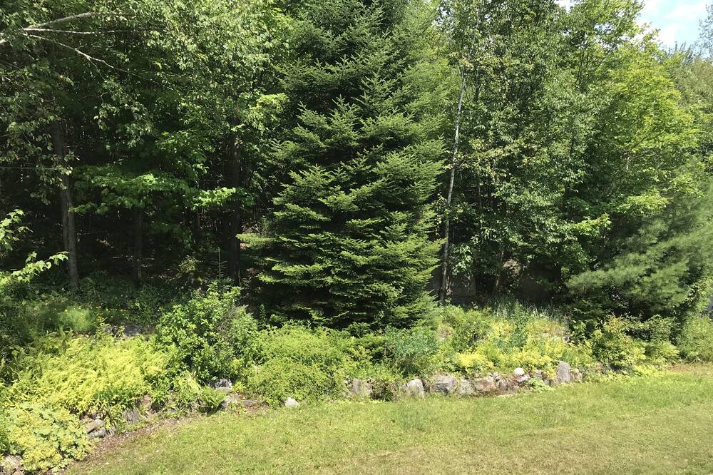 Photo of Outdoor in Sainte-Marguerite-du-Lac-Masson