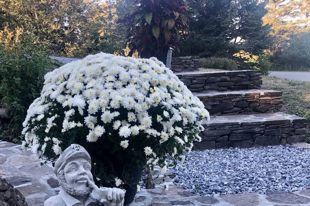 Photo of Others in Port Clyde