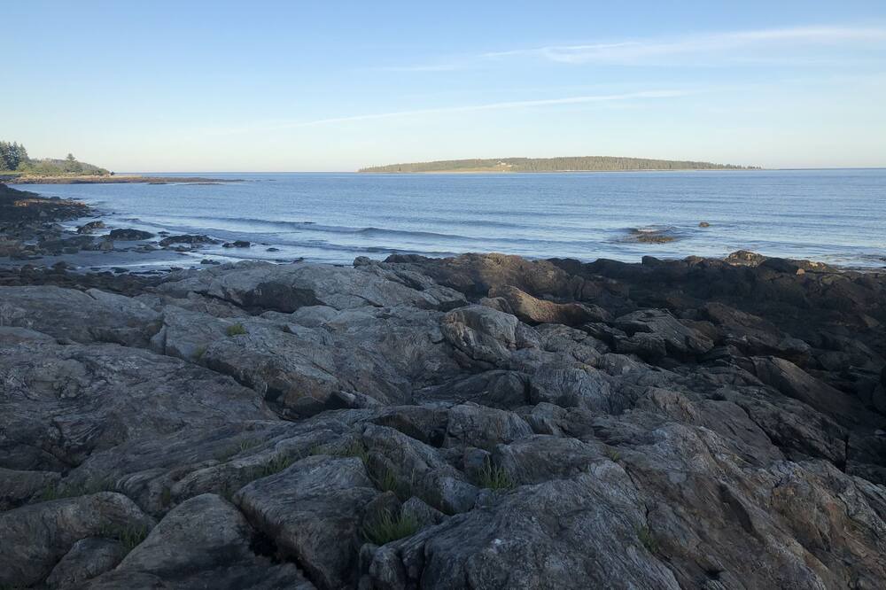 Photo of Others in Port Clyde