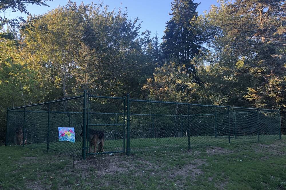 Photo of Others in Port Clyde