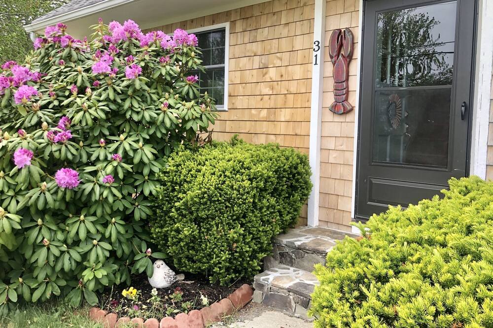 Photo of Others in Port Clyde