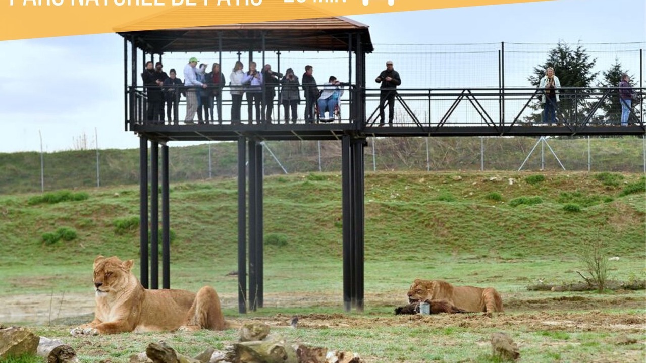 Photo of Others in Villeneuve-le-Comte