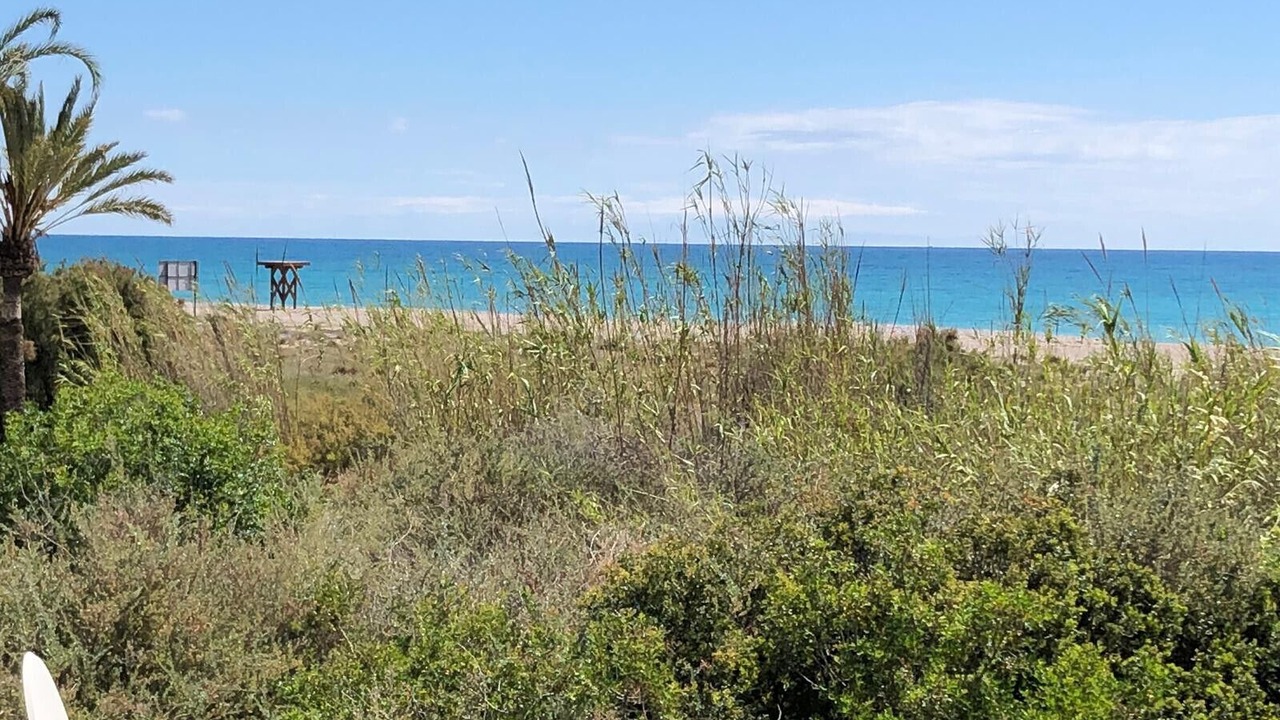 Photo of Others in Playa de Almarda