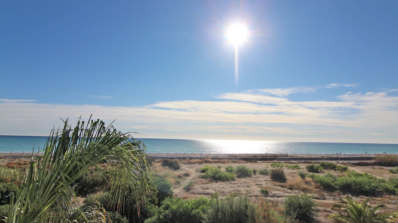 Photo of Others in Playa de Almarda