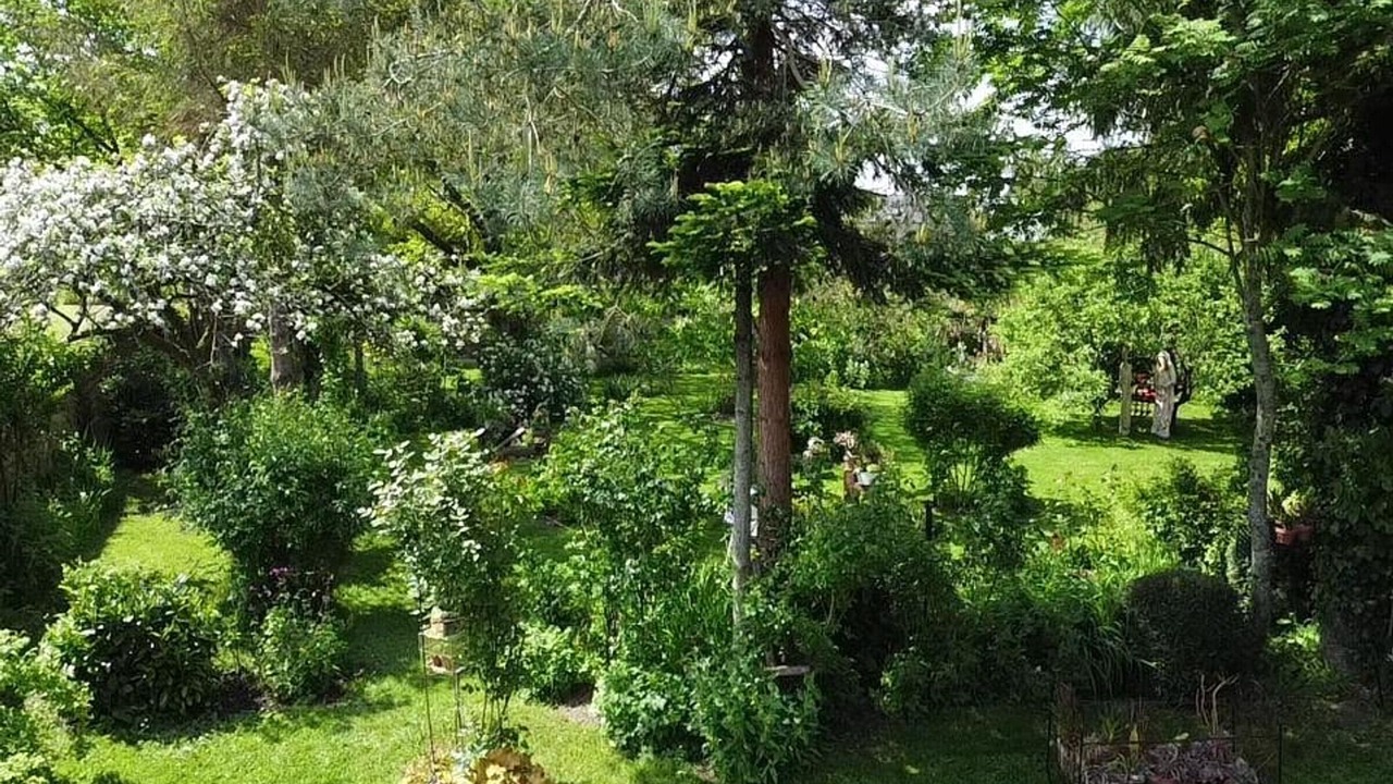 Photo of Outdoor in La Carneille