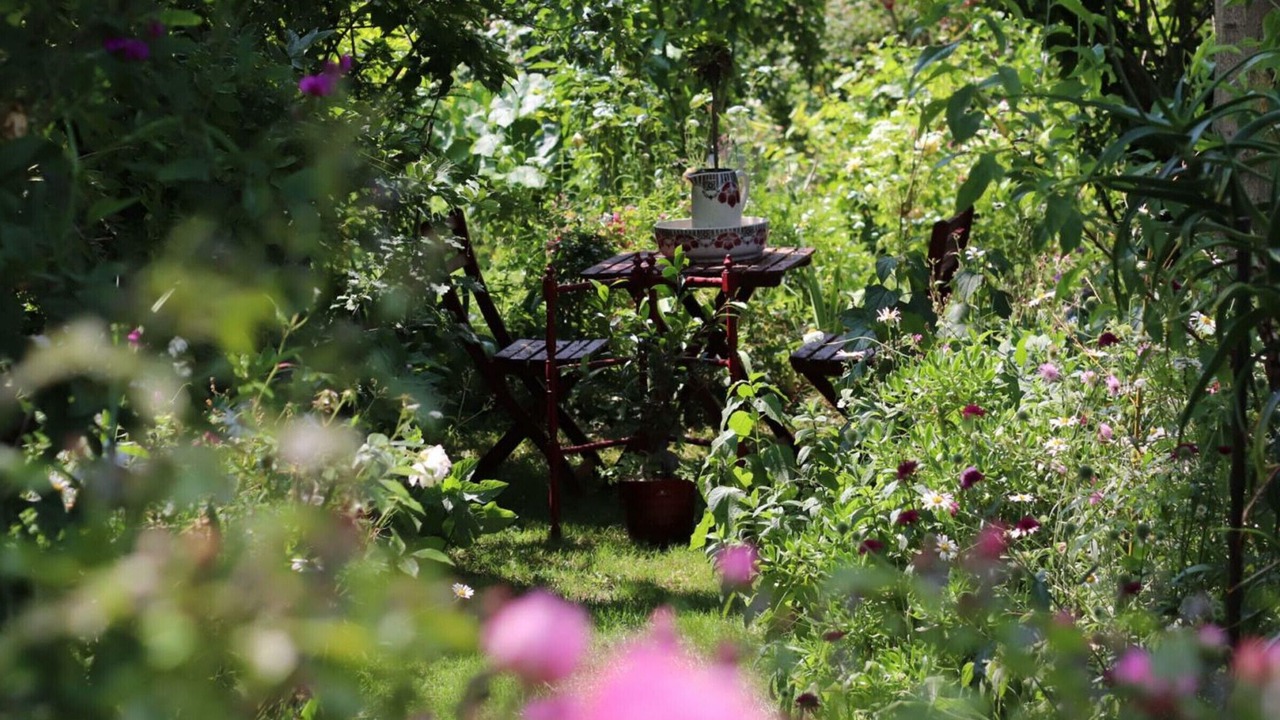 Photo of Outdoor in La Carneille