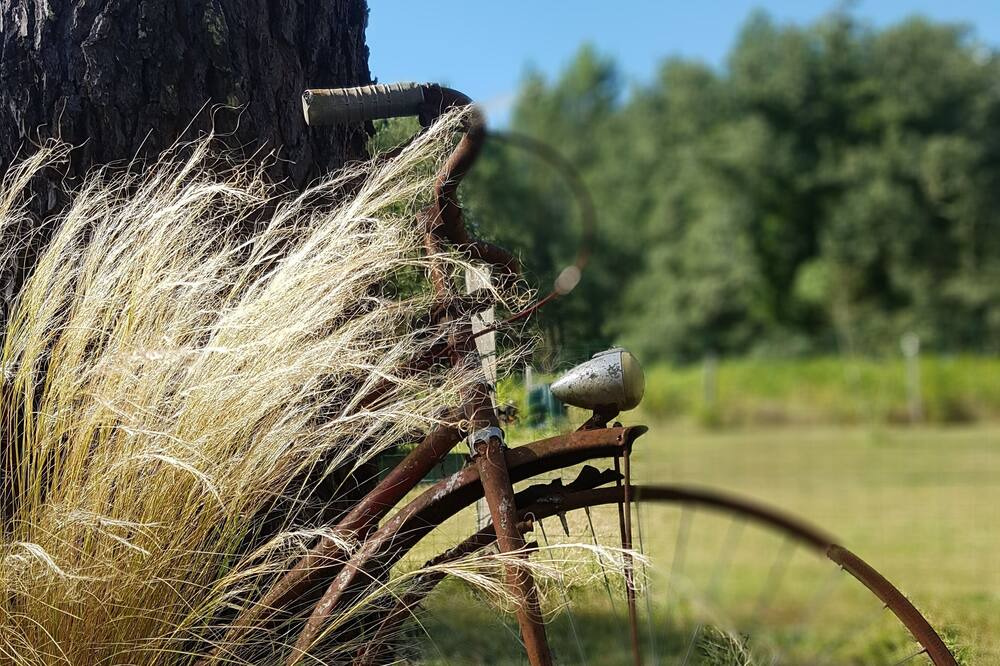 Photo of Outdoor in Reaup-Lisse