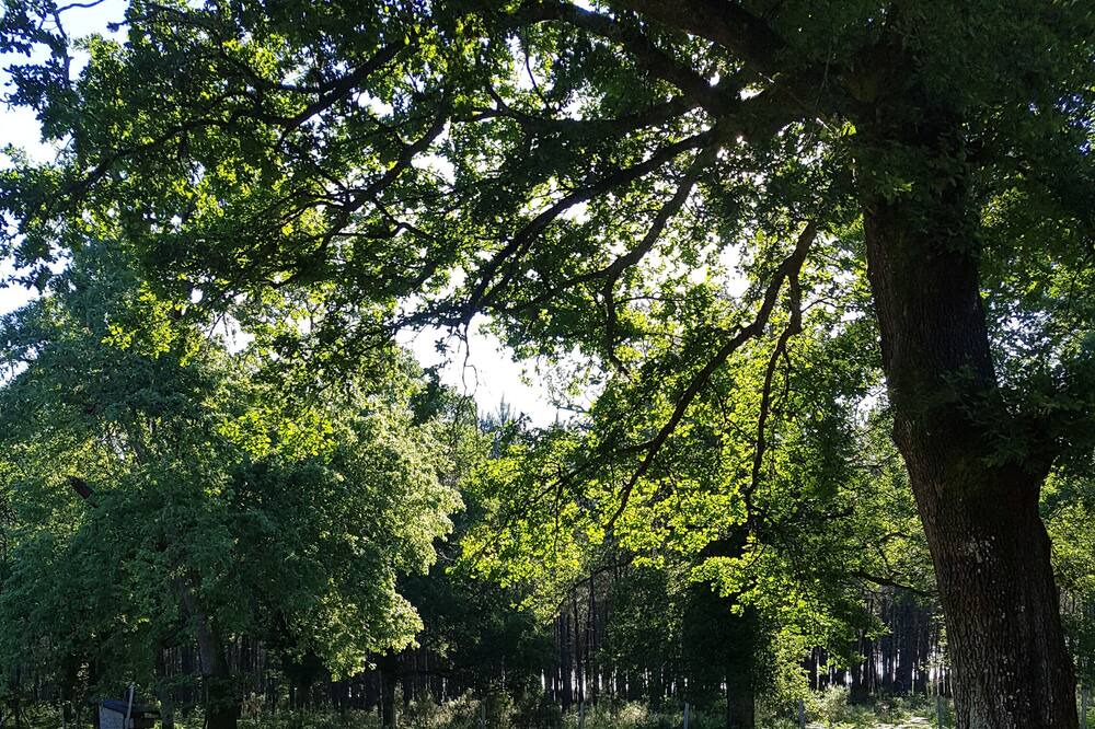 Photo of Outdoor in Reaup-Lisse