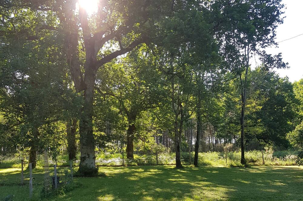 Photo of Outdoor in Reaup-Lisse