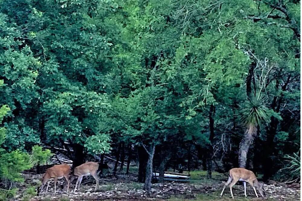 Photo of Outdoor in Clifton