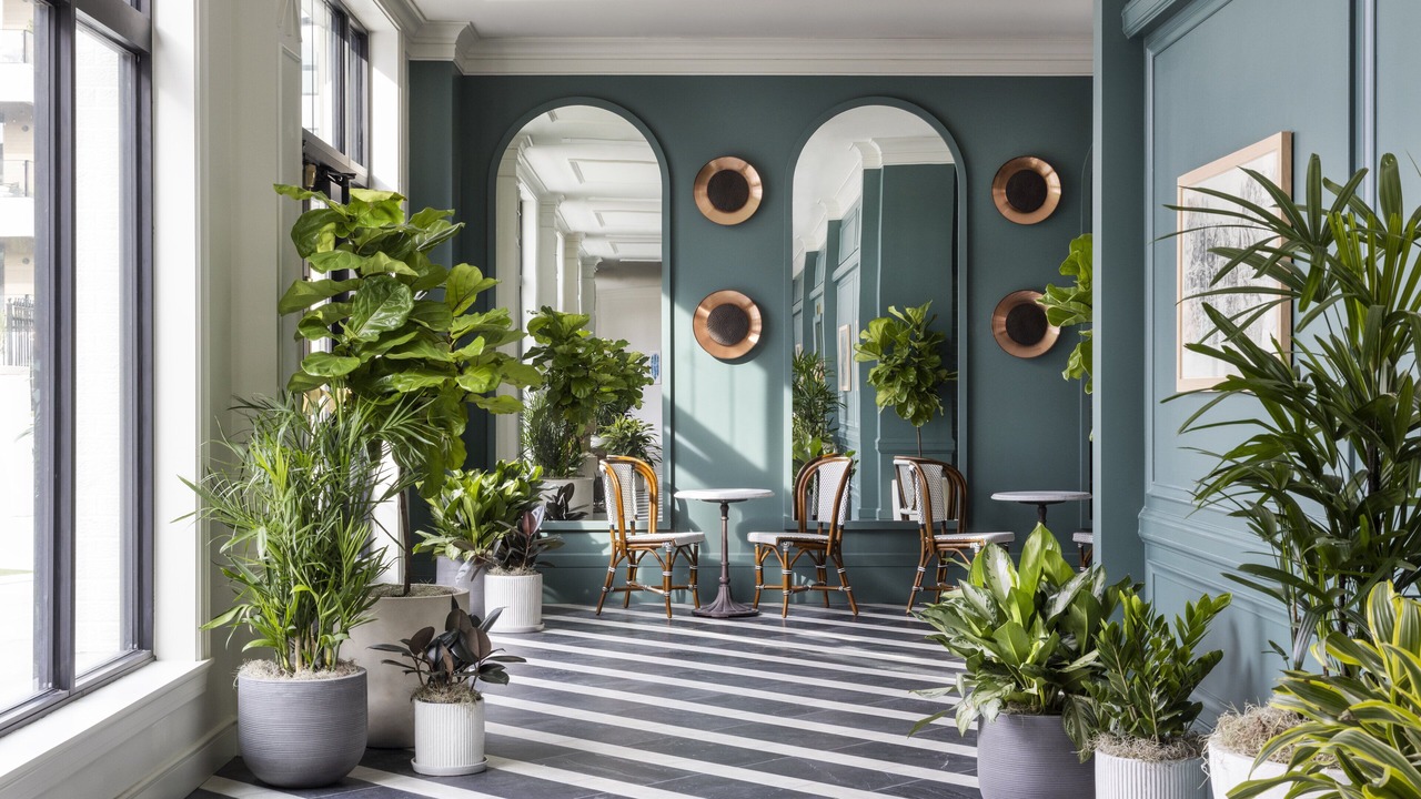 Photo of Outdoor in Midtown