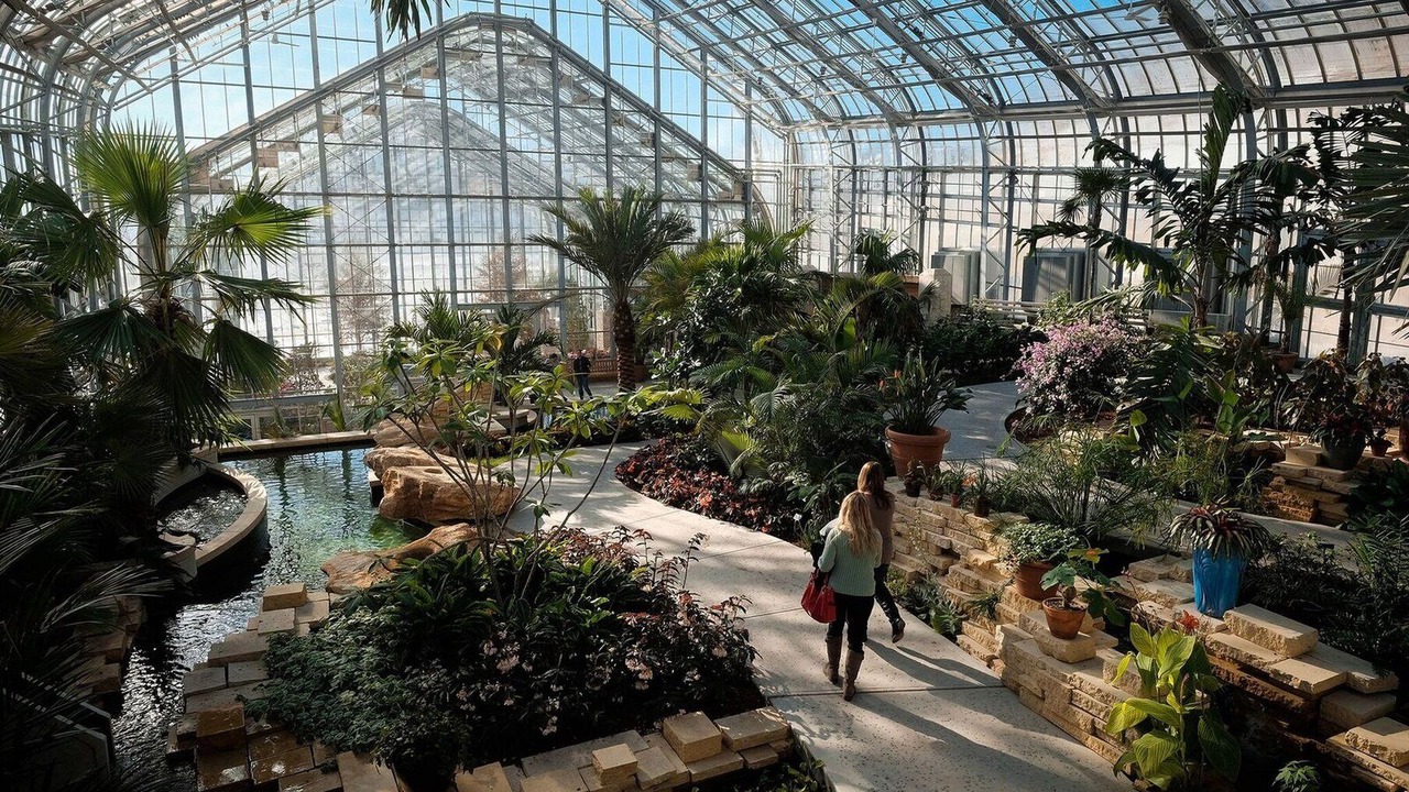 Photo of Others in Midtown