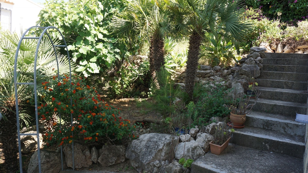 Photo of Outdoor in Monte Pego