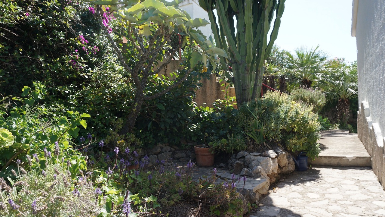 Photo of Outdoor in Monte Pego