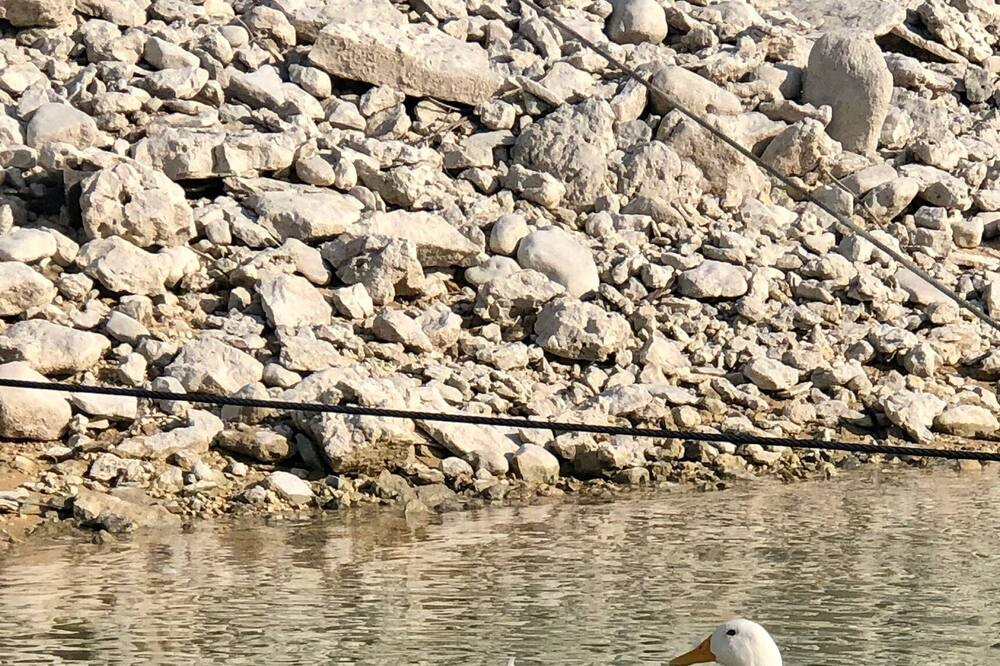 Photo of Others in Lakehills