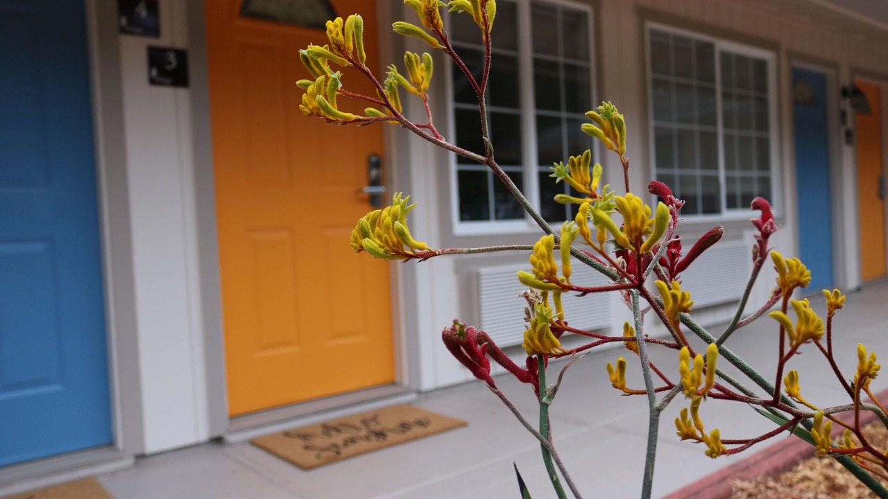 Photo of Outdoor in Northwood