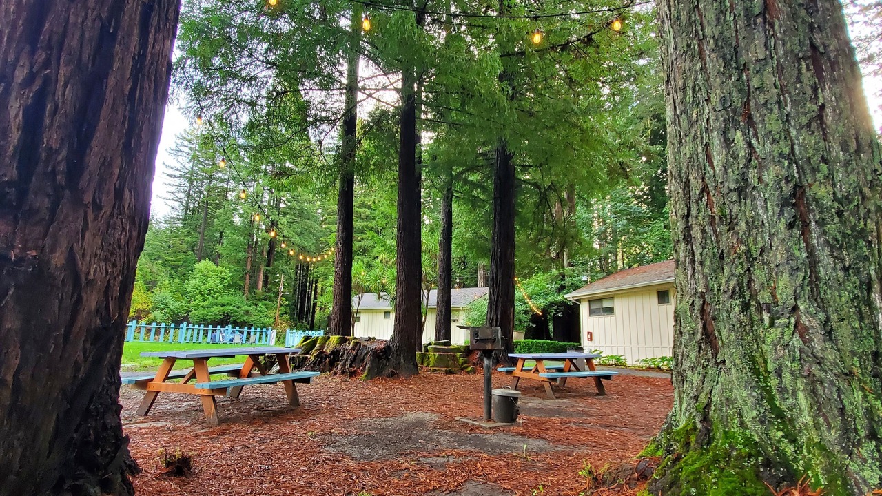 Photo of Outdoor in Northwood