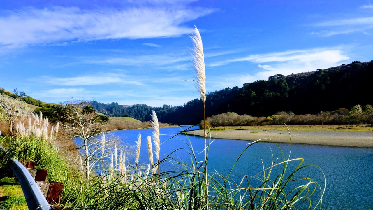 Photo of Others in Northwood