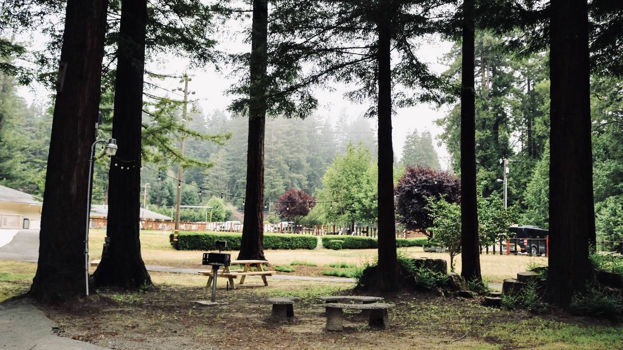 Photo of Bedroom in Northwood