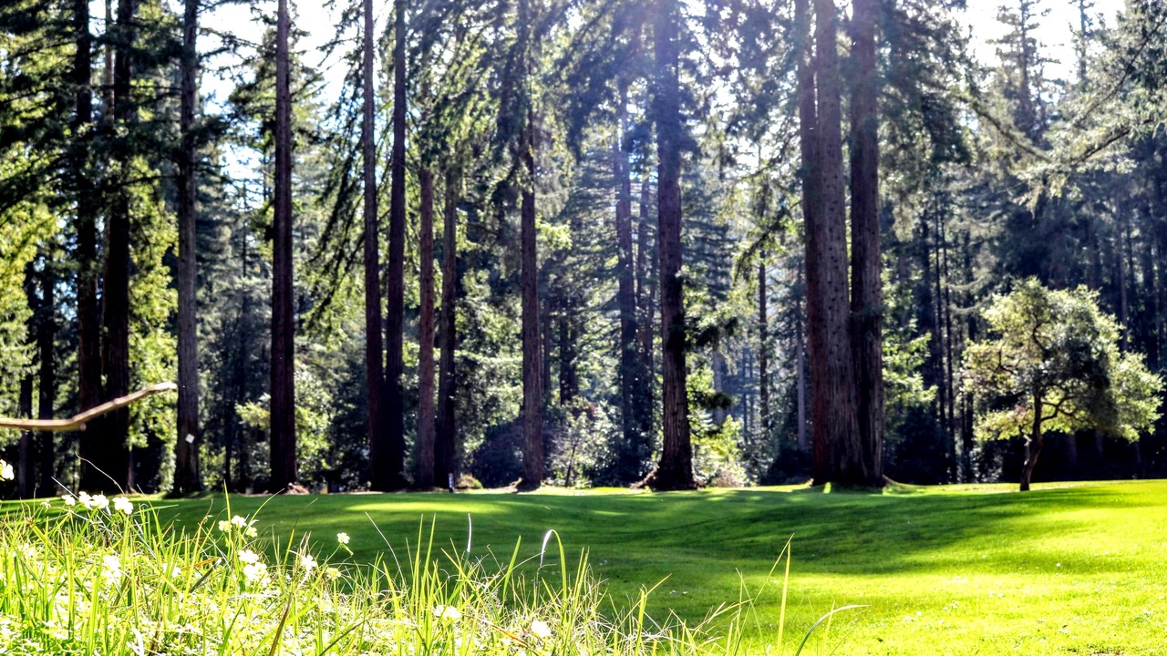 Photo of Others in Northwood