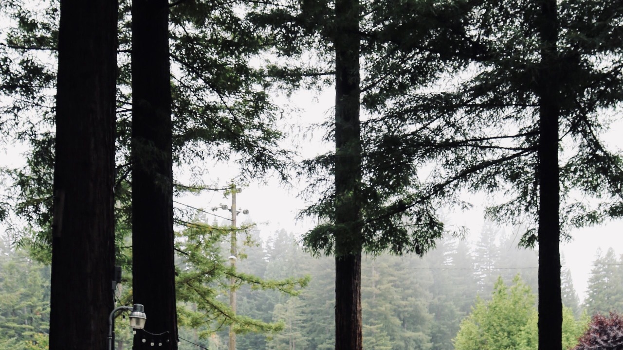 Photo of Outdoor in Northwood