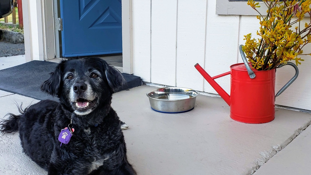 Photo of Outdoor in Northwood