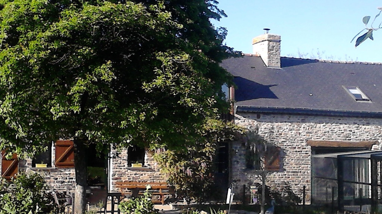 Photo of Outdoor in La Bouexiere