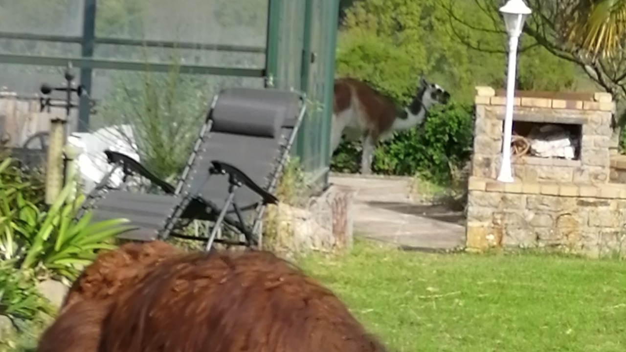 Photo of Outdoor in La Bouexiere