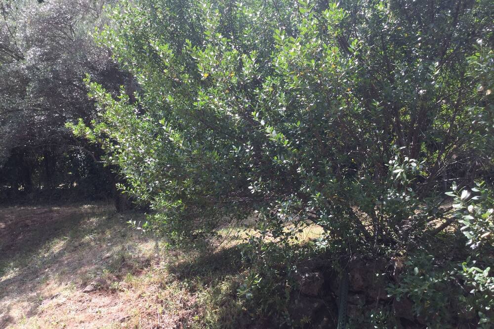 Photo of Outdoor in Anduze