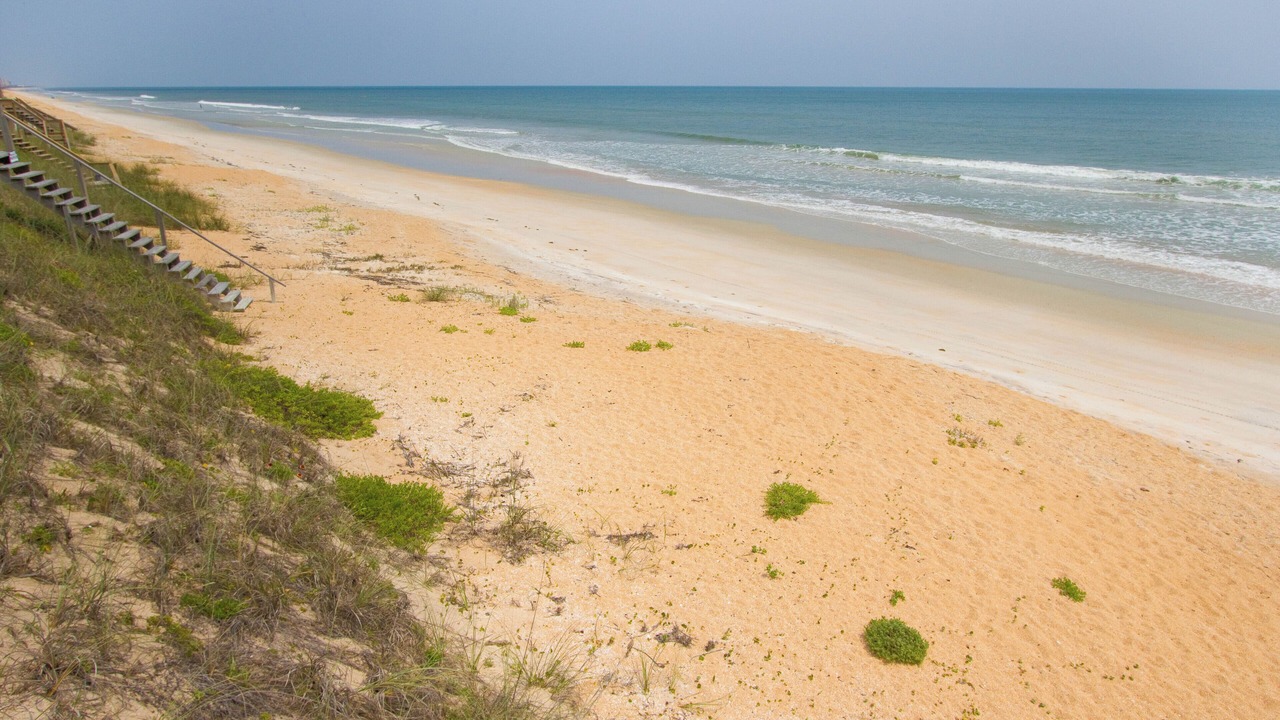 Photo of Others in Flagler Beach