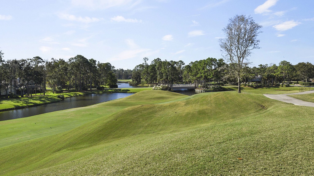 Photo of Others in Sawgrass
