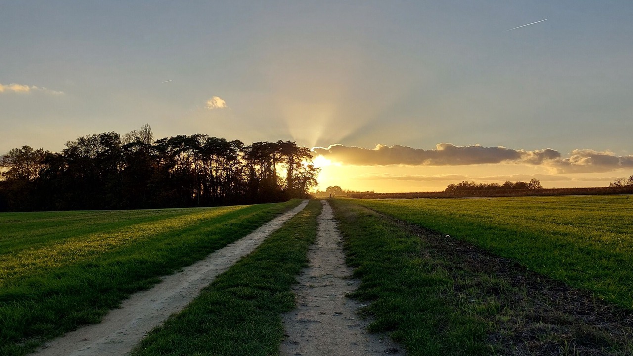 Photo of Outdoor in Thenay