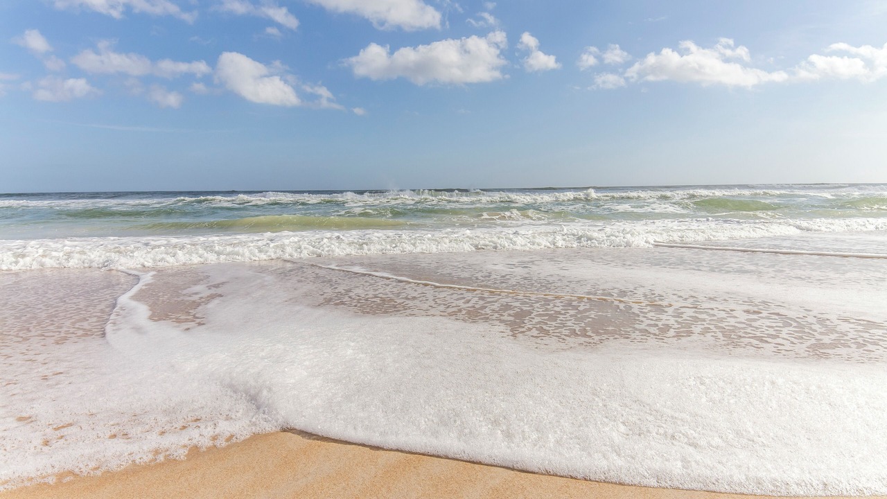 Photo of Others in St. Augustine Beach