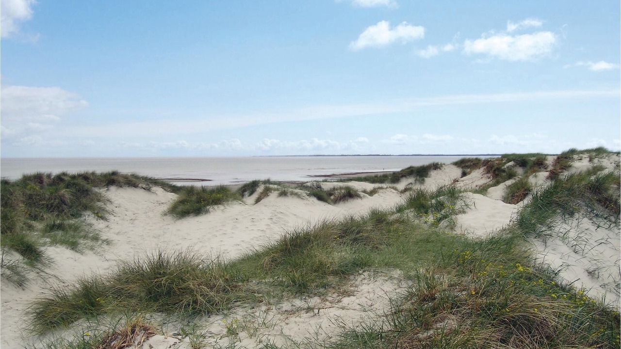 Photo of Others in Hojby