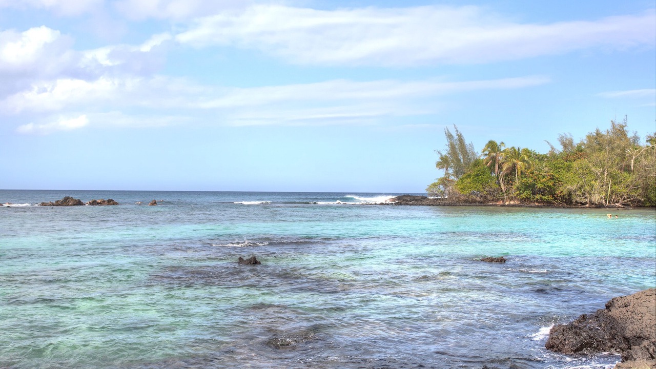 Photo of Others in Hilo