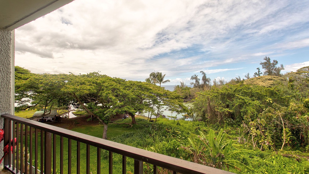 Photo of Outdoor in Hilo