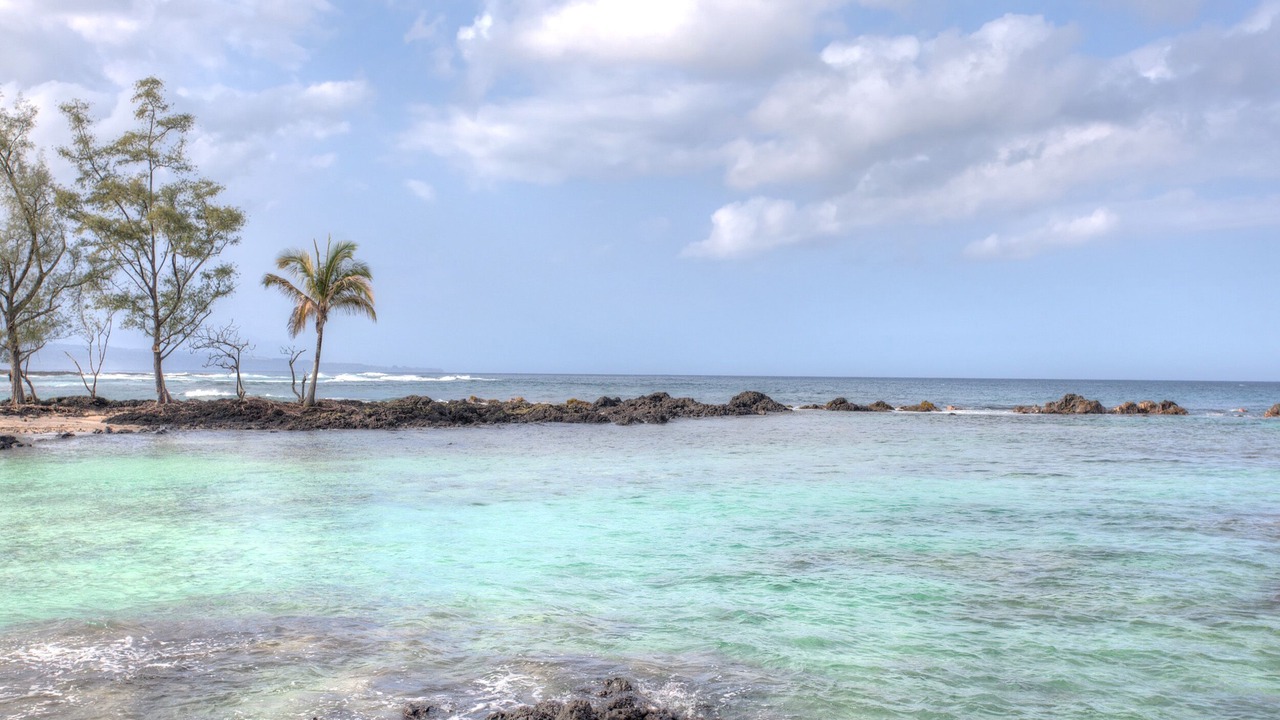 Photo of Others in Hilo