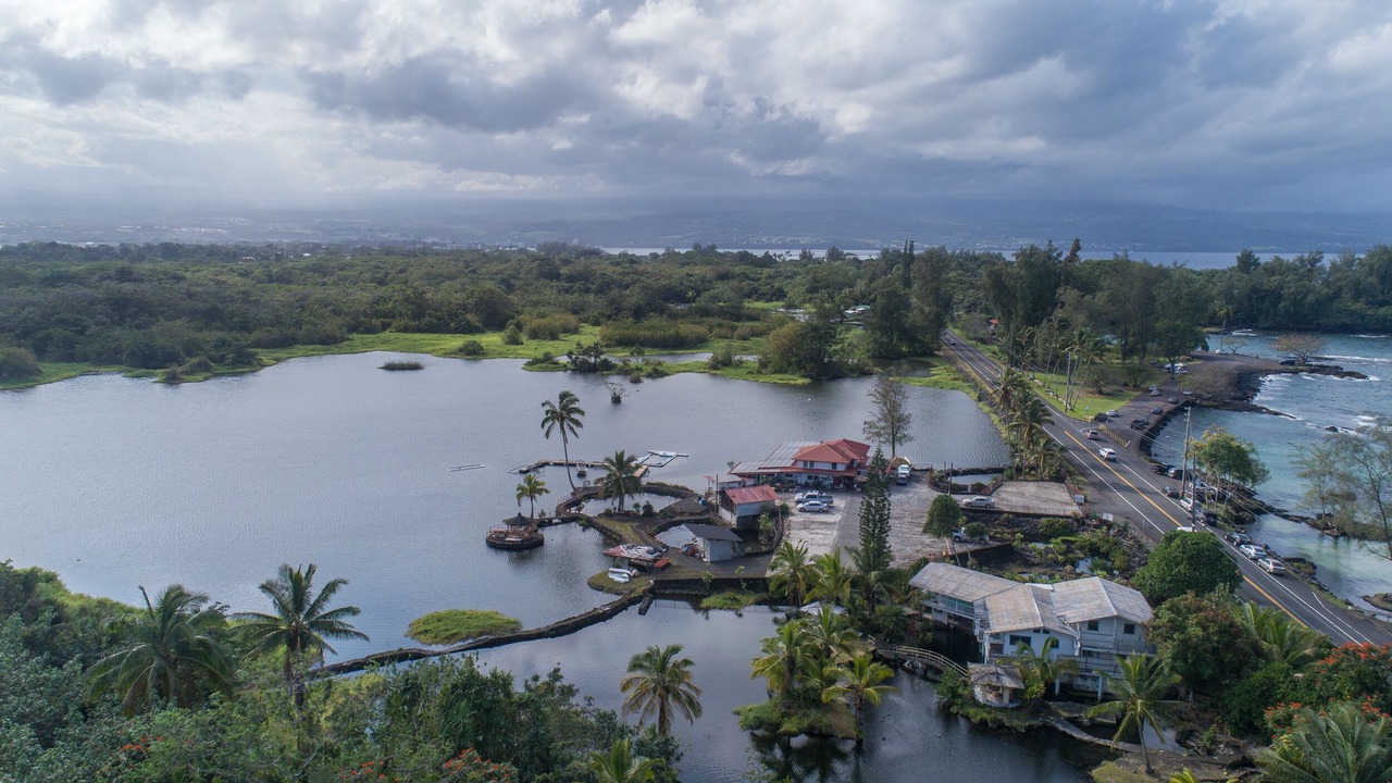 Photo of Outdoor in Hilo